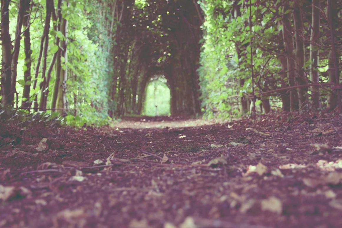 Est aut enim quisquam maxime quod nobis dolor