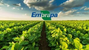 Retificação do Concurso Embrapa: Mudanças Importantes!