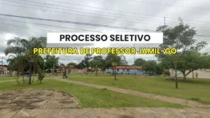 Professor Jamil GO: Seleção Atraente para Nível Superior
