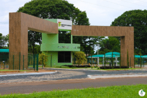 IF Goiano lança vaga para professor de Economia em Rio Verde