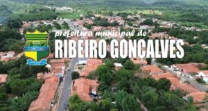 Prefeitura de Ribeiro Gonçalves PI abre 13 vagas para brigadistas